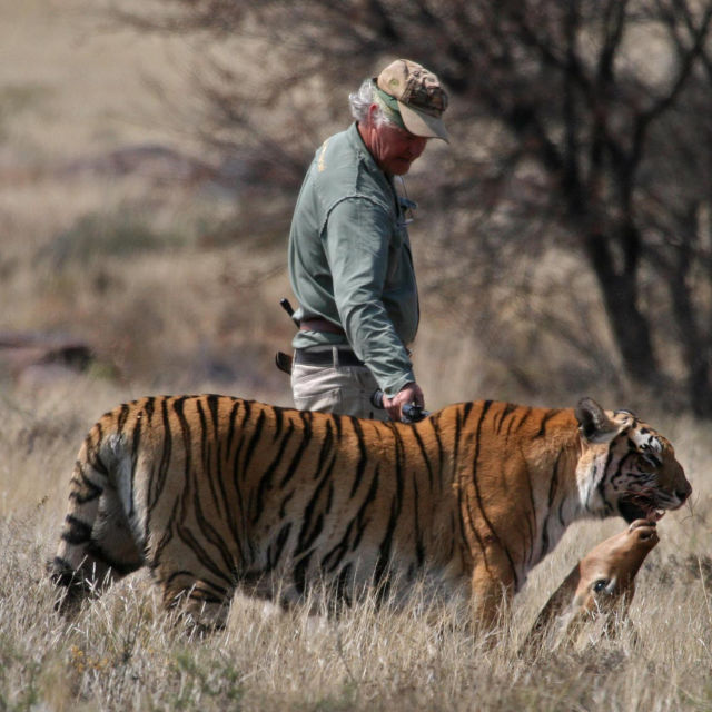 Zaštitnik tigrova u Africi